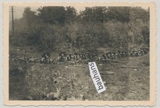 Foto russland beute - russland,