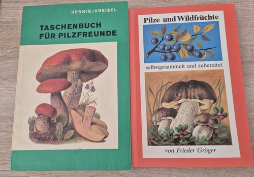 Pilze und wildfrüchte - pilze,