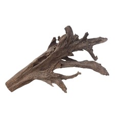 XXL Mangrovenwurzel Nr.2938