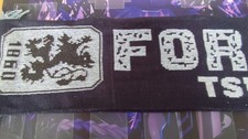 TSV 1860 München Schal
