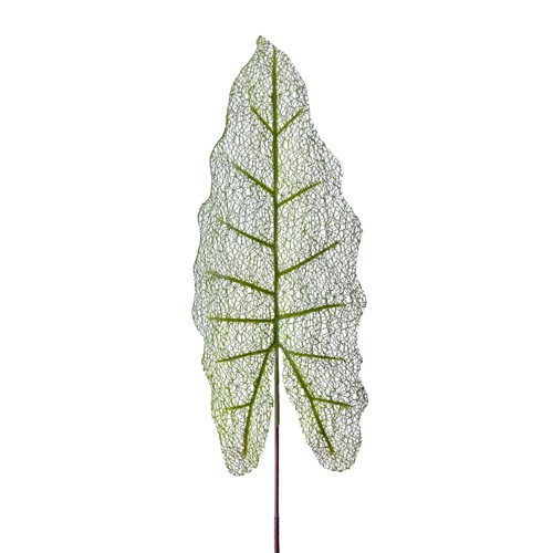 Künstliches elefanten ohr - künstliches, elefanten-ohr