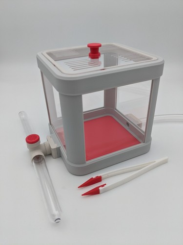 Ant nest starter kit with