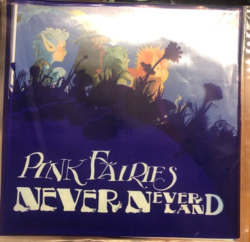 Pink fairies the never - pink,