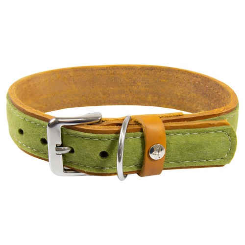 Das lederband hundehalsband - das,
