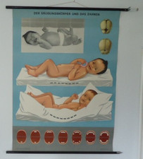 Schulwandkarte der - schulwandkarte:,