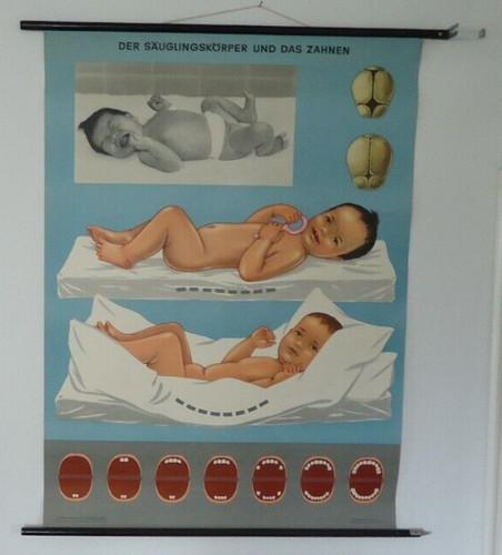 Schulwandkarte der - schulwandkarte:,