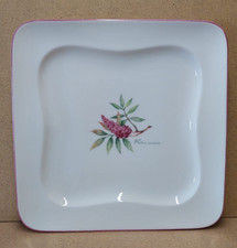 Vivo 0702 v. Villeroy & Boch , Speiseteller ca. 27x27 cm (+DB)