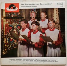 Die Regensburger Domspatzen