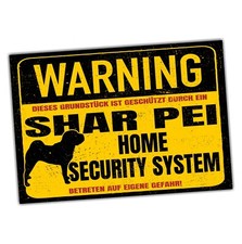 Schild Shar Pei Faltenhund
