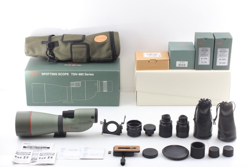 Top mint kowa tsn - 【top, mint】