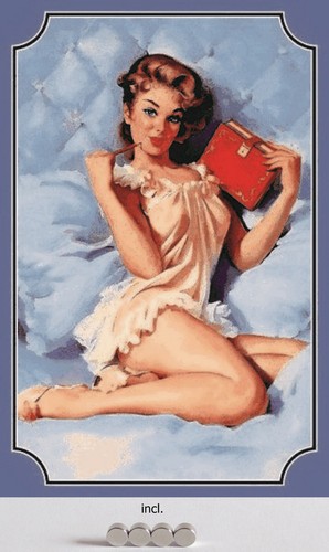 Blechschild 20x30 pin girl - blechschild,
