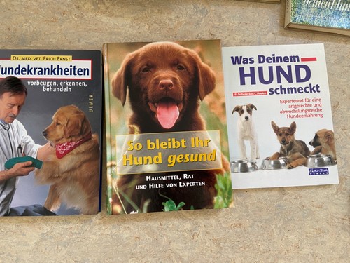 Hunde krankheiten fressen - ,