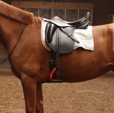 Dressursattel AMERIGO 17.5
