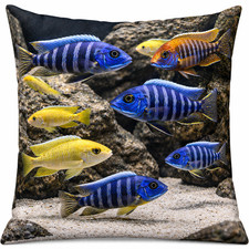 Kissen aquarium malawi - kissen,