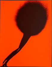 Stell-Es-Auf! OTTO PIENE