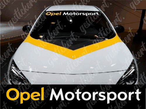 100 motorsport - 1x, cm