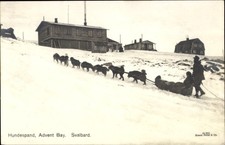 Ak Spitzbergen Norwegen, Advent Bay, Hundeschlitten - 4791847