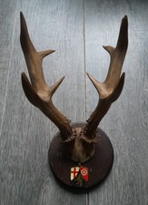 Wunderschönes antikes Reh