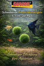 Schwebende Riesen-Mooskugel