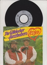 Die Wildecker Herzbuben -