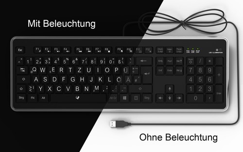 Lacerto deutsche - |,
