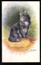 Künstler-AK Graue Katze auf
