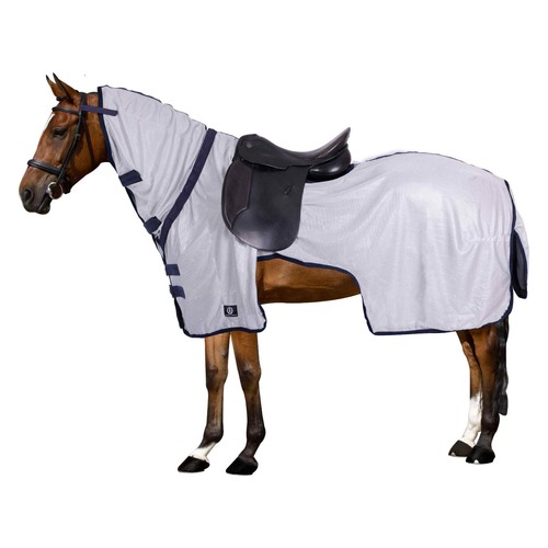 Imperial riding - imperial,