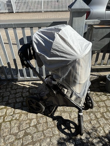 Bugaboo fox mineral - 3,