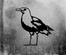 Aufkleber Möve Möwe Vogel Nordsee Car Auto Sticker Tuning JDM Decal Seagull 