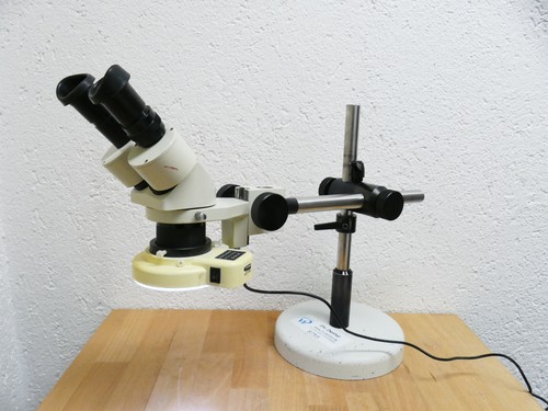 Mikroskop mit standfuß und - standfuß,