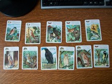 DDR Kartenspiel Quartettspiel "Vogelschutz Quartett"