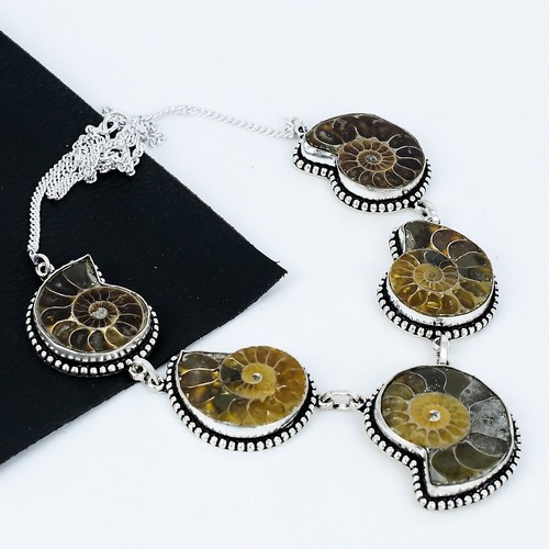 Ammonit fossil statement - ammonit,