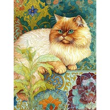 Orange perserkatze - orange,