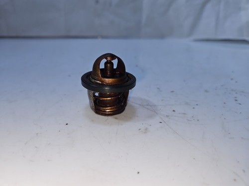 Thermostat suzuki intruder - thermostat,