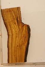 Olivenholz Epoxid Holz 4,5cm