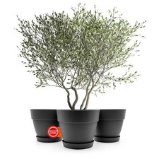 3x Übertopf Blumentopf mit
