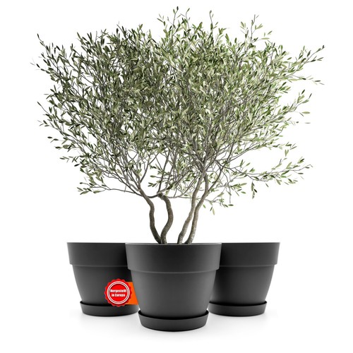übertopf blumentopf mit - Übertopf,