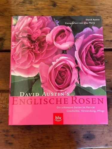 David austin englische - austin's,