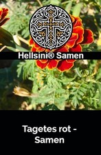 Tagetes red rot Tagetes