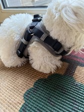 Hunter Geschirr Xs-s Grau