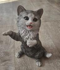 Katze sucht neues Zuhause