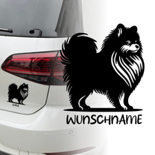 Auto aufkleber zwergspitz - zwergspitz, |