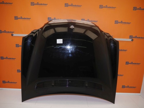 Motorhaube 197