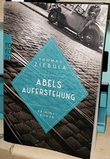 Abels Auferstehung (Paul Stainer, Band 2)  Ziebula, Thomas | Buch | Zustand gut