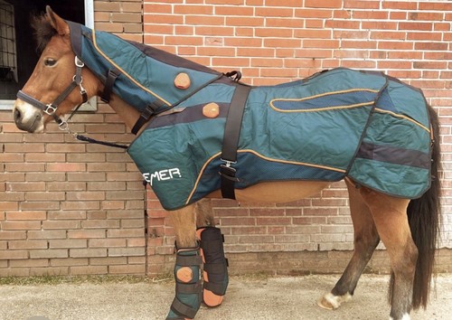 Bemer vet premium set horse - ,