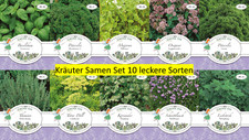 Kräuter Samen Set Saatgut 10