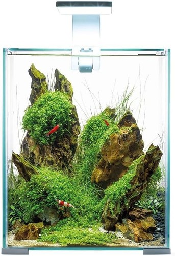 Aquael shrimp set - &, night