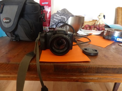 Panasonic lumix dmc fz20 - panasonic, dmc-fz20