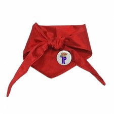 Halstuch Thälmann Pionier rot