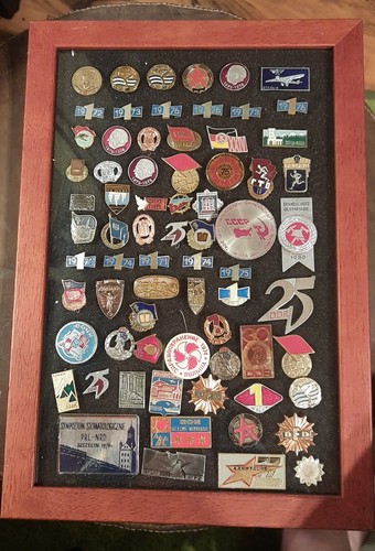 Pin sammlung konvolut ddr - konvolut,